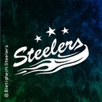 Bietigheim Steelers - Düsseldorfer EG