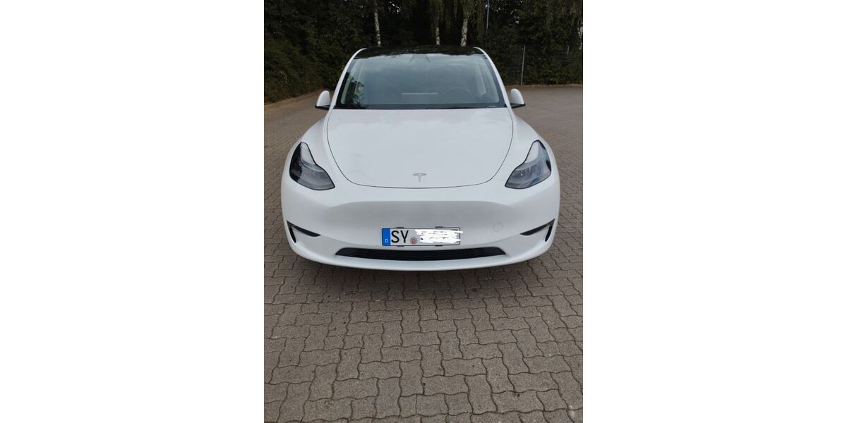 Tesla Model Y 48.953 km 34.000 &euro; Syke 28857