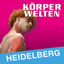 KÖRPERWELTEN - Tagesticket 31.10.2026 KÖRPERWELTEN Museum Heidelberg