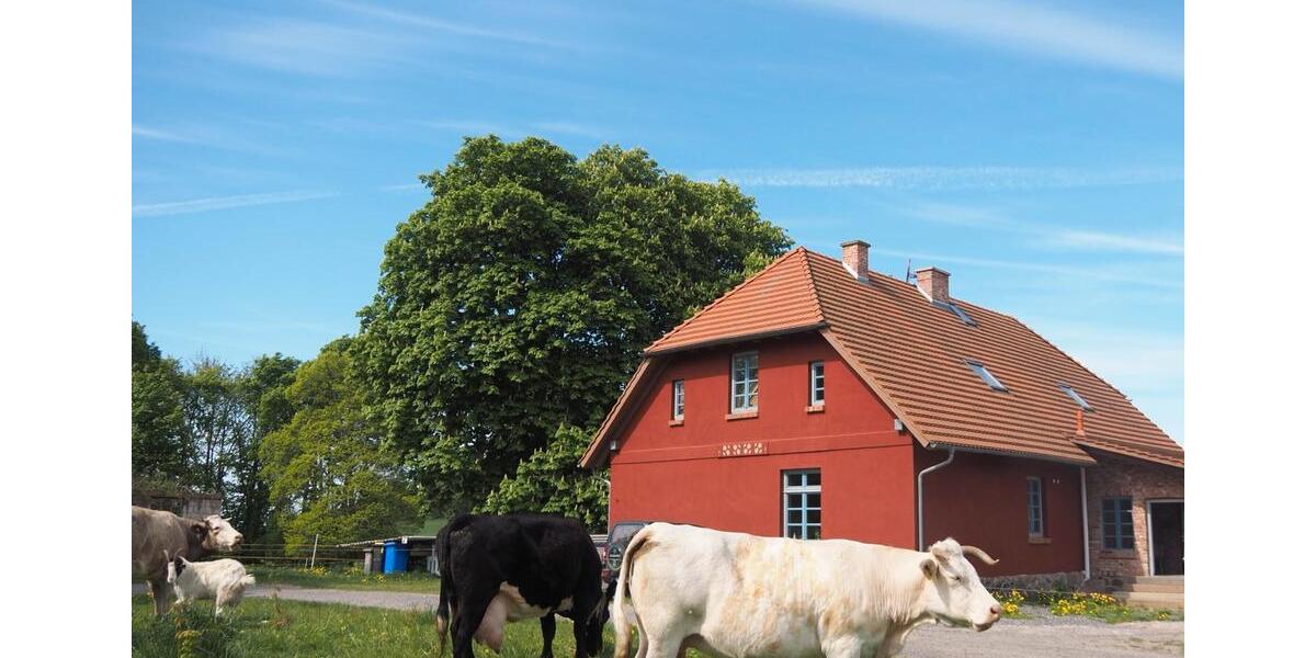 Etagenwohnung Sagard - 4 Zimmer, 139 m&sup2;, 1.500&euro; | Angebot:27639515