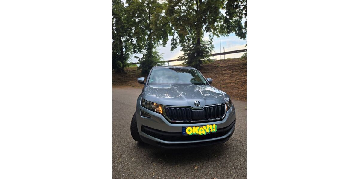 Skoda Kodiaq 110.000 km 19.900 &euro; Neuwied 56567