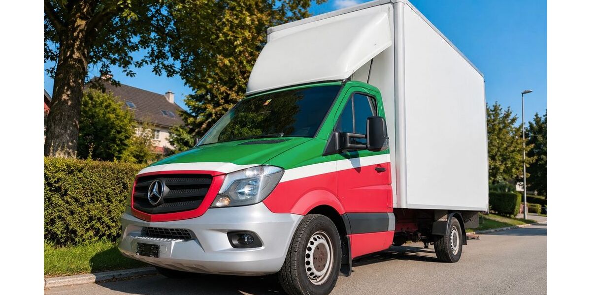 Mercedes-Benz Sprinter 539.000 km 11.980 &euro; Lahr 77933