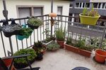 Gehobene Altbauwohnung mit großem Balkon ca. 150qm - Wohnraum oder gewerblichen Nutzung möglich - Appartement Neustadt | Angebot:26634102