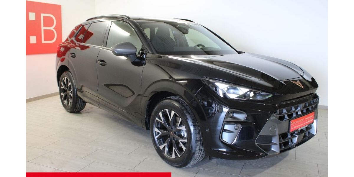 Cupra Terramar 1.001 km 38.980 &euro; Schopfloch 91626