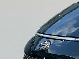 Hyundai STARIA Signature 2WD 2.2 CRDi EU6d 7-Sitzer Navi L 46.000 km 43.990 &euro; Bad Wünnenberg 33181