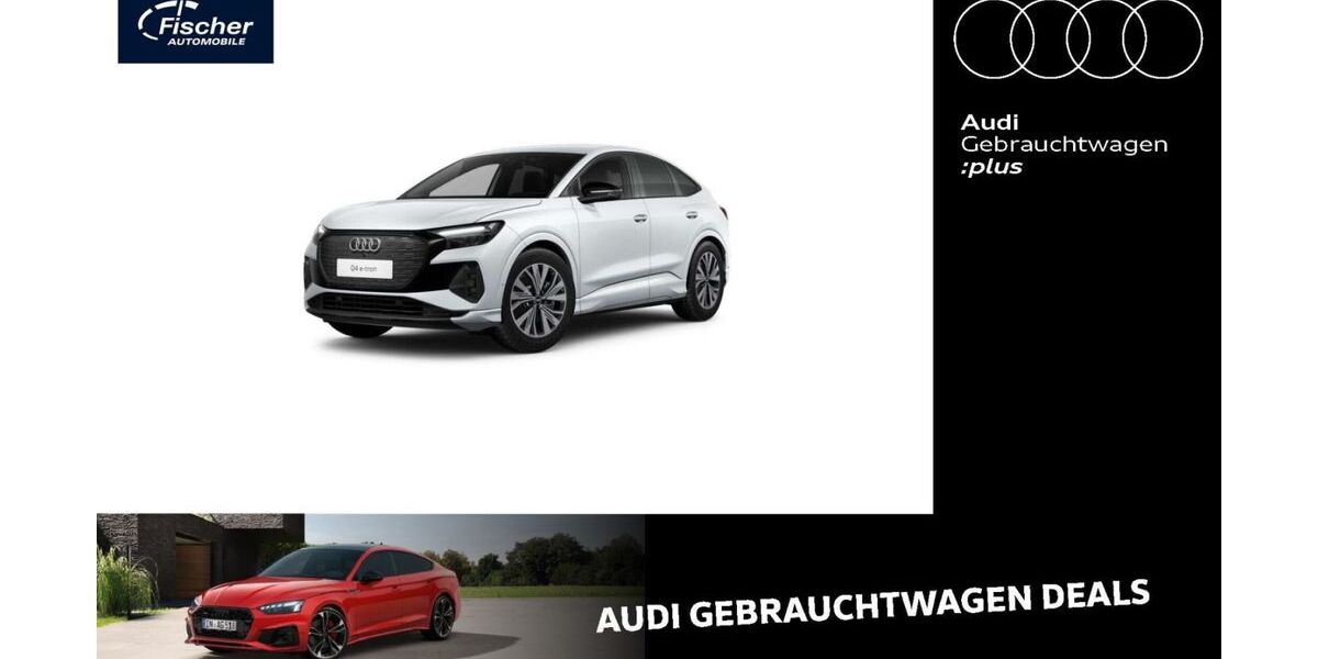 Audi Q4 e-tron 44.261 km 29.980 &euro; Neumarkt 92318