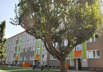 Wohnung Prenzlau - 3 Zimmer, 61 m&sup2;, 520&euro; | Angebot:27662768